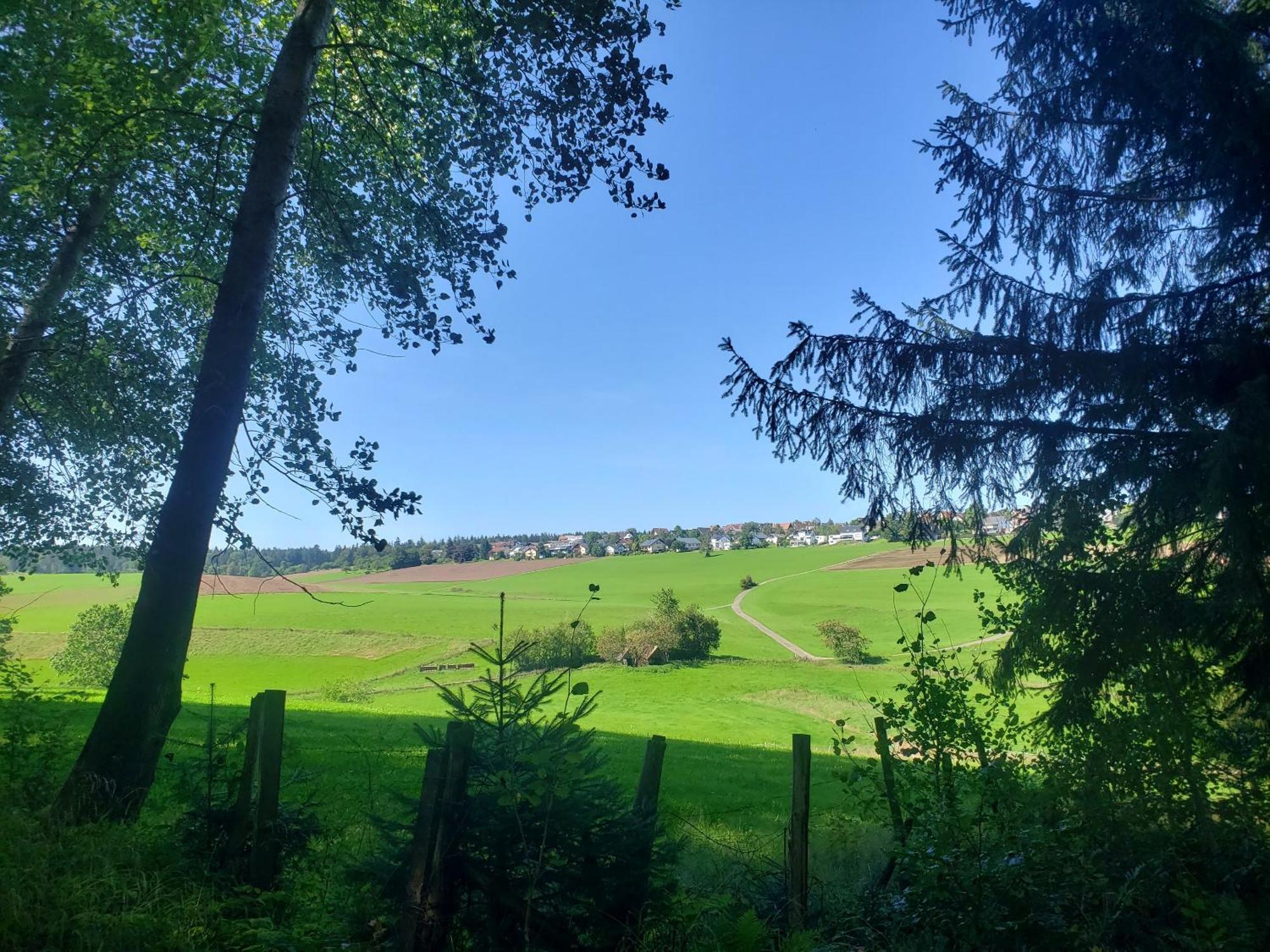 Alter Hirsch Otel Pfalzgrafenweiler Dış mekan fotoğraf